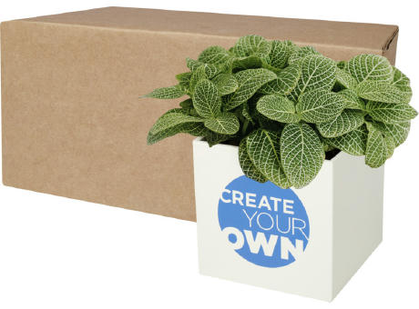 Product image Hey Pots Blumentopf aus Aluminium, Sukkulente Werbeartikel