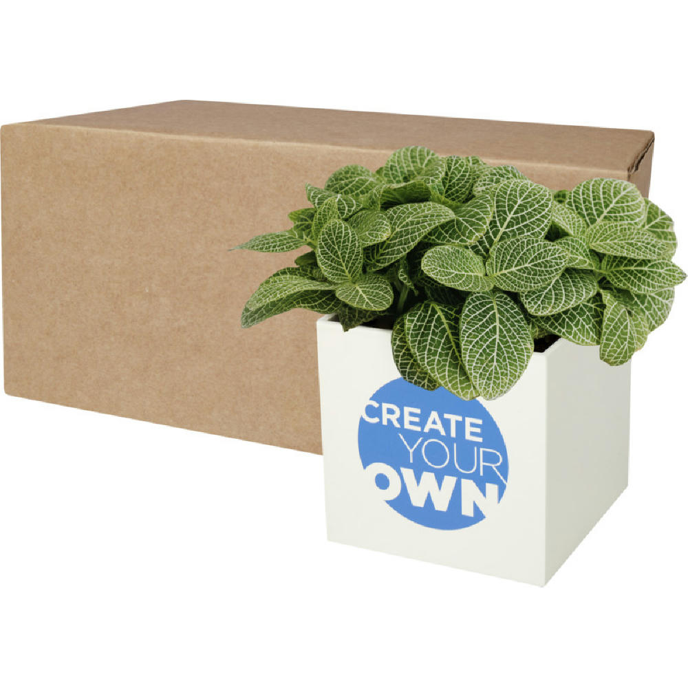 Product image Hey Pots Blumentopf aus Aluminium, Sukkulente Werbeartikel