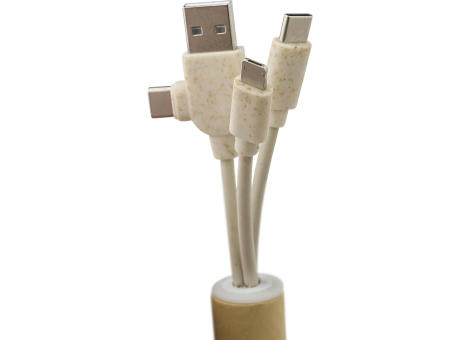 USB-Ladegerät Schlüsselanhänger Tyson Werbeartikel