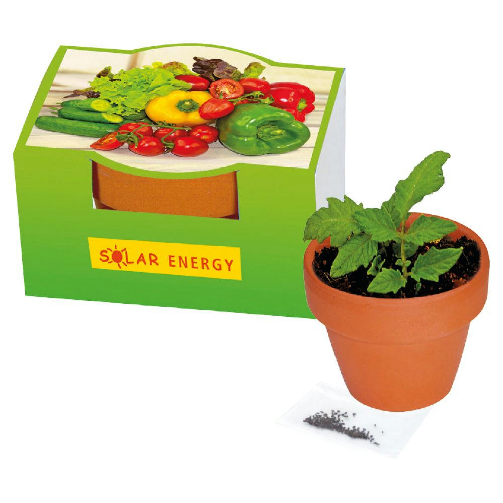 Product image Naschgemüse-Töpfchen Cocktail Tomate Werbeartikel