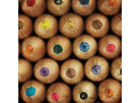 SPROUT - Farbstift mit kleinem Standard Ansteckkärtchen Werbeartikel