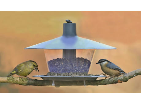 BIRDIE Vogel Futterhaus Made in Europe Werbeartikel