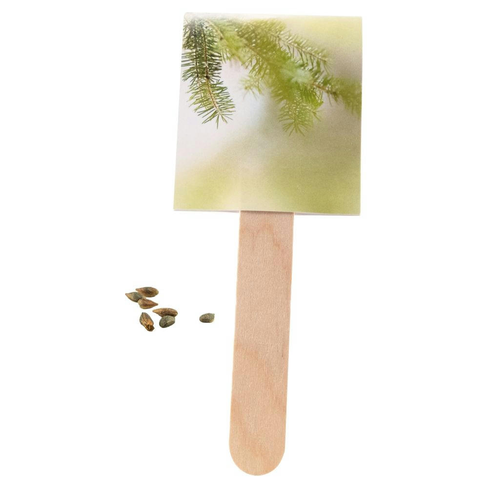 Product image Wachsender Weihnachtsgruß Werbeartikel