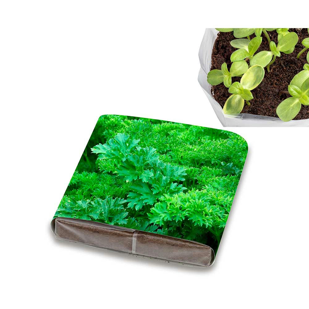 Product image PopUp Anzuchterde mit Samen - Petersilie Werbeartikel