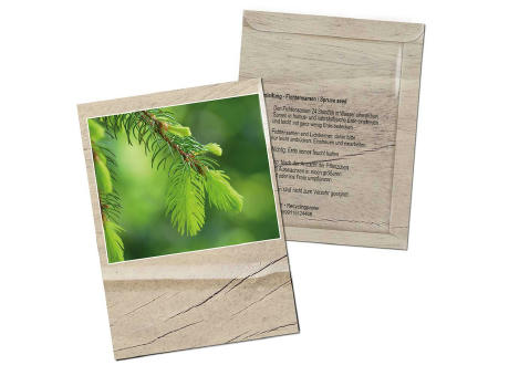 Product image Samentütchen - Standardmotiv - Fichte Werbeartikel