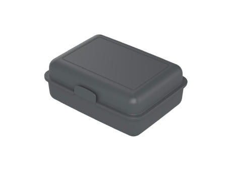 Product image Bio-Vorratsdose "School-Box" groß Werbeartikel