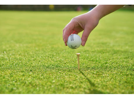 Golf Tees aus Holz Werbeartikel