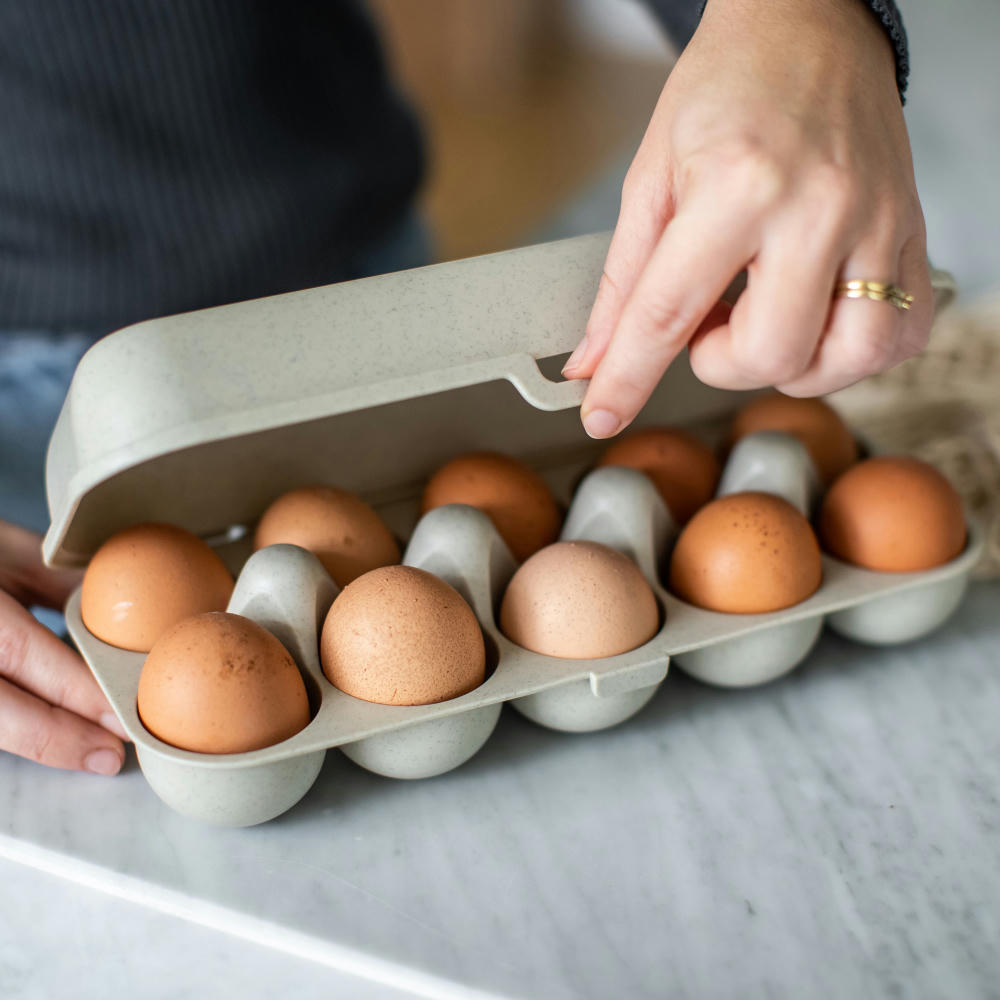 Koziol EGGS TO GO Eierbox Werbeartikel