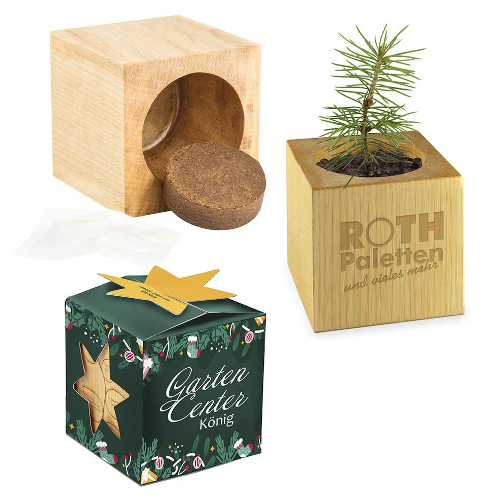 Pflanz-Holz Maxi Star-Box Xmas mit Fichtensamen - Fichte Werbeartikel
