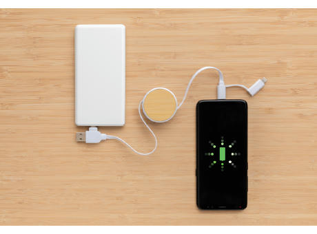 Ontario ausziehb. 6-in-1 Kabel aus RCS recyceltem Kunststoff Werbeartikel