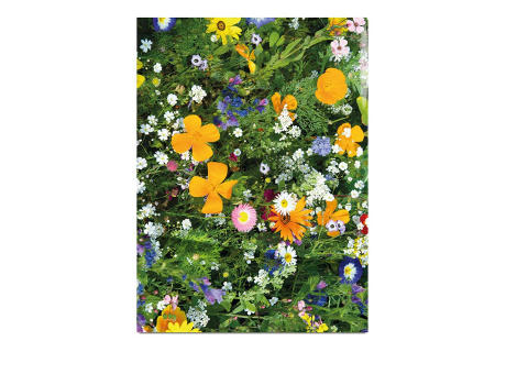 Samentütchen - Standardmotiv  - Sommerblumenmischung Werbeartikel