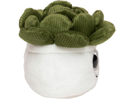 Schmoozies® Evergreenies® Sukkulente Werbeartikel