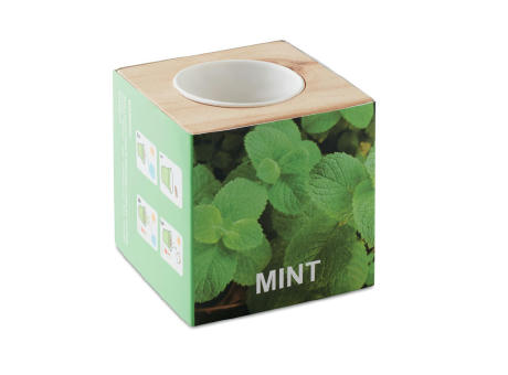 Product image Kräuterpflanz-Set "Minze'' Werbeartikel