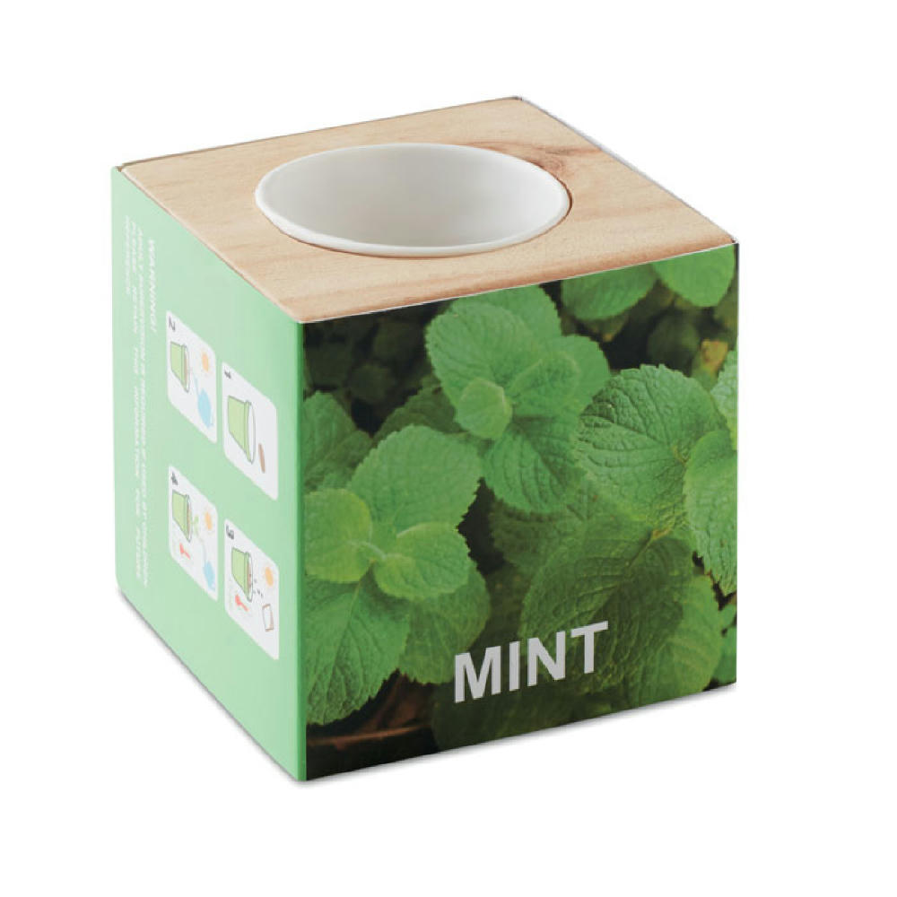 Product image Kräuterpflanz-Set "Minze'' Werbeartikel
