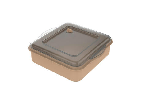 beständiges braun/ transparent