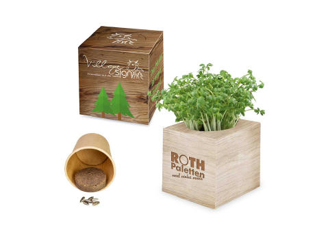 Pflanz-Würfel 2.0 mit Samen - Ostern - Eierbaumsamen Werbeartikel