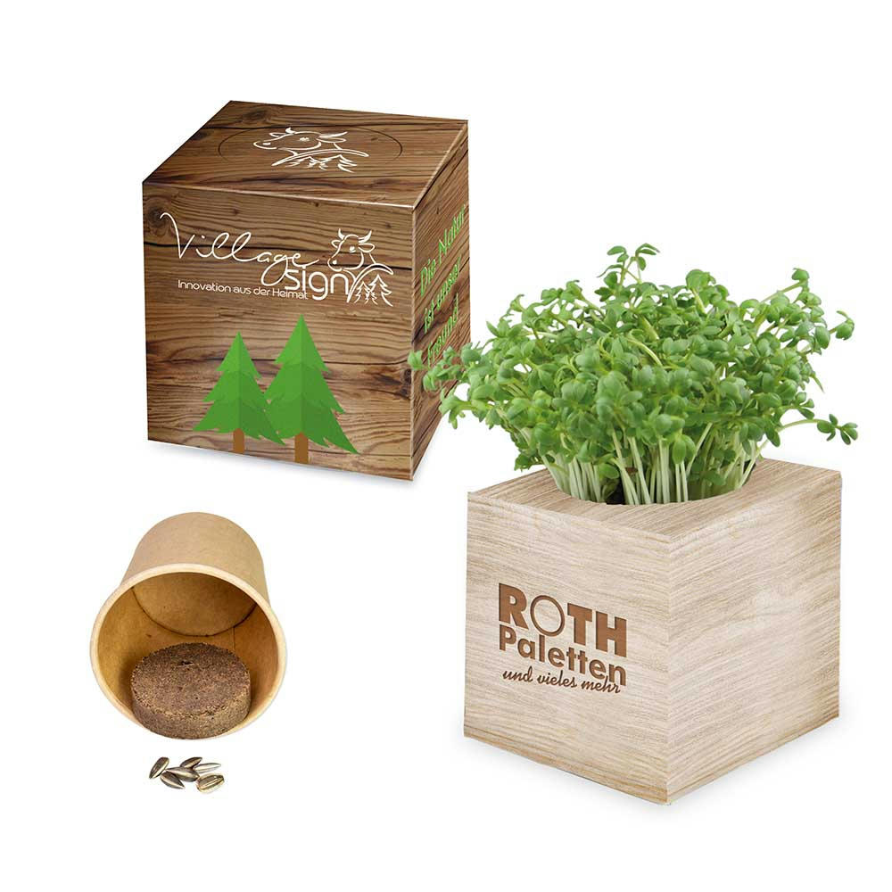 Product image Pflanz-Würfel 2.0 mit Samen - Ostern - Eierbaumsamen Werbeartikel