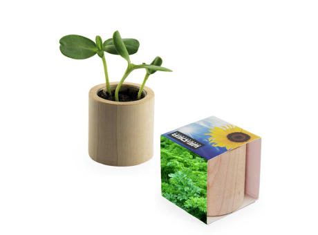 Pflanz-Holz rund mit Samen - Petersilie Werbeartikel