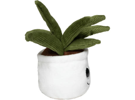 Schmoozies® Evergreenies® Aloe Vera Werbeartikel