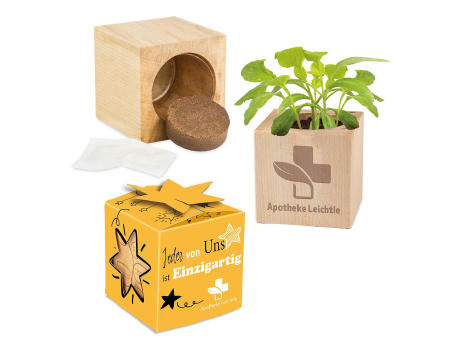Pflanz-Holz Star-Box Ostern mit Samen - Eierbaumsamen Werbeartikel
