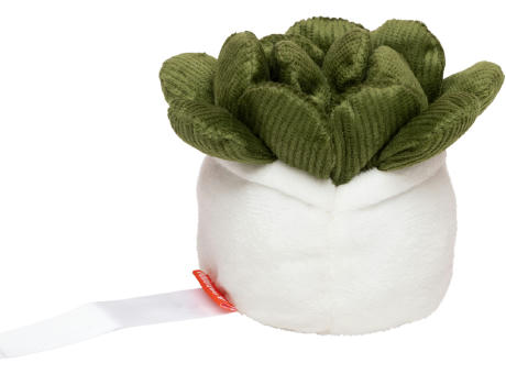Schmoozies® Evergreenies® Sukkulente Werbeartikel