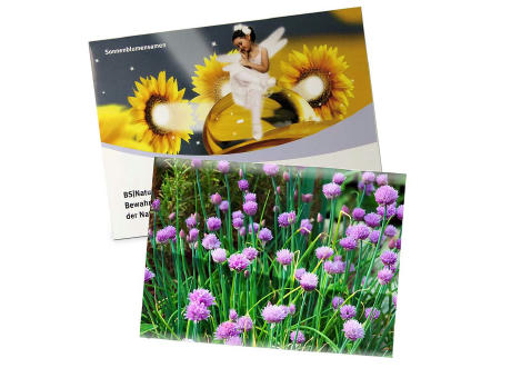 Samentütchen Groß - Standardpapier - Petersilie Werbeartikel