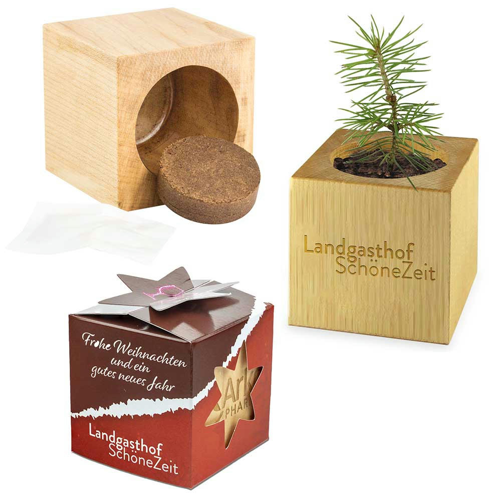 Product image Pflanz-Holz Star-Box Xmas mit Fichtensamen - Fichte Werbeartikel
