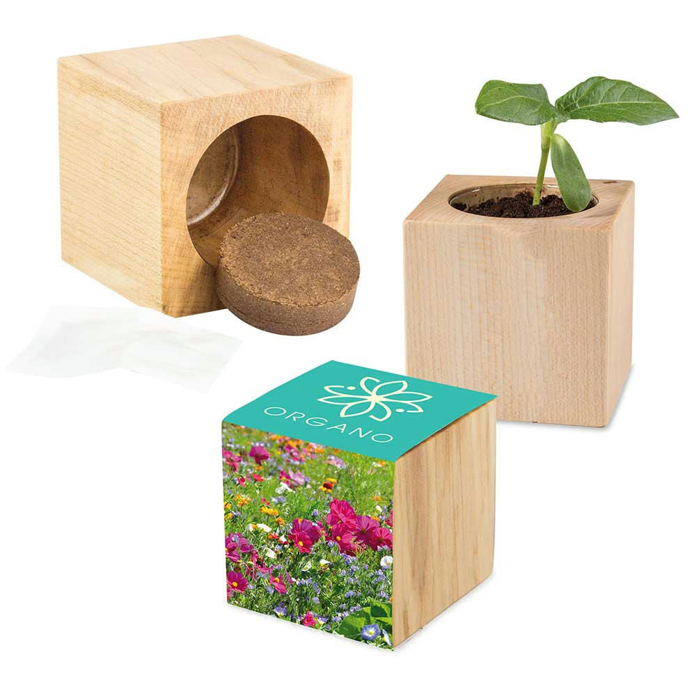 Pflanz-Holz Maxi mit Samen - Basilikum Werbeartikel