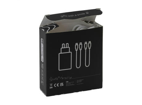 2-in-1 RCS Cable Charging Set Ladegerät-Set Werbeartikel