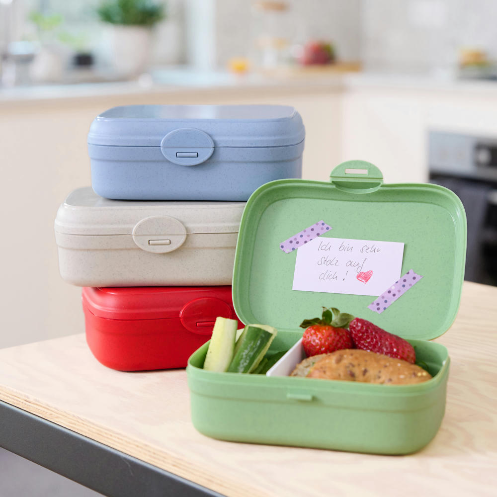 Koziol ARENA Lunchbox mit Trennsteg Werbeartikel