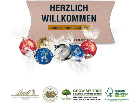 KISSENVERPACKUNG „CREATIVE”  Werbeartikel