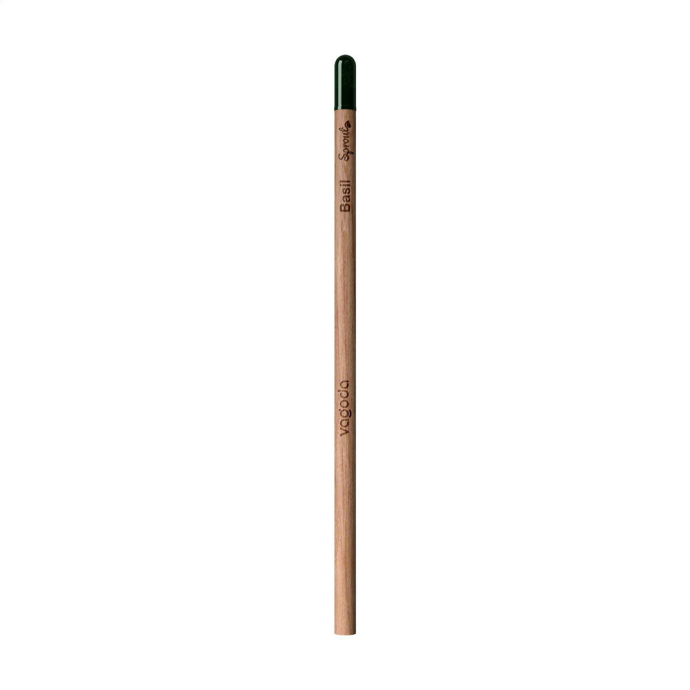 Sproutworld Unsharpened Pencil Bleisstift ungespitzt Werbeartikel