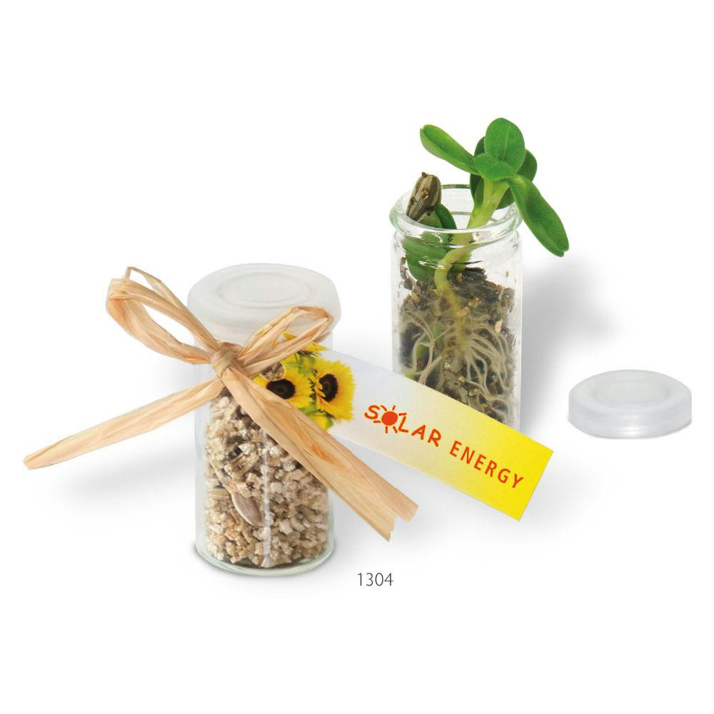 Product image Mini-Glasshouse Sonne Werbeartikel