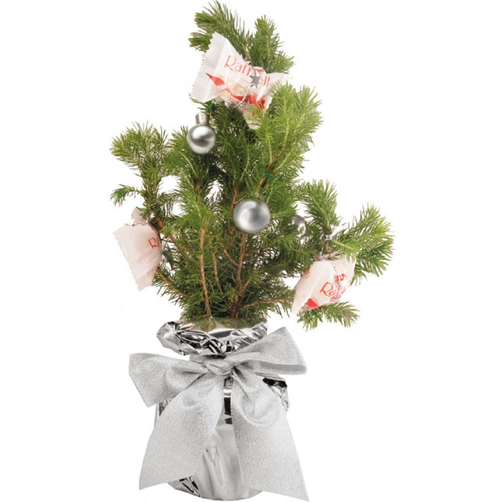 Product image Süßes-Bäumchen 20-30 cm Werbeartikel