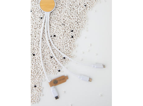 Ontario 6-in-1 Kabel aus RCS recyceltem Kunststoff Werbeartikel