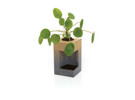 Avira Alya RCS recycelter Stainless-Steel Becher 300ml bedrucken