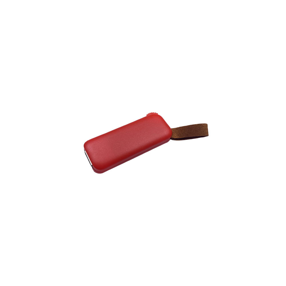 Modell F100 USB 2.0 Flash Disk   1 GB Blau Werbeartikel