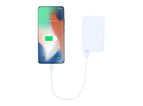 RABS Powerbank Genner bedrucken