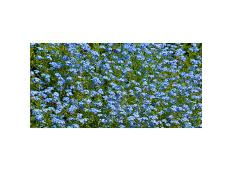 Sproutworld Unsharpened Pencil Bleisstift ungespitzt Werbeartikel