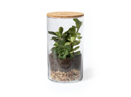 Terrarium Anymak Werbeartikel