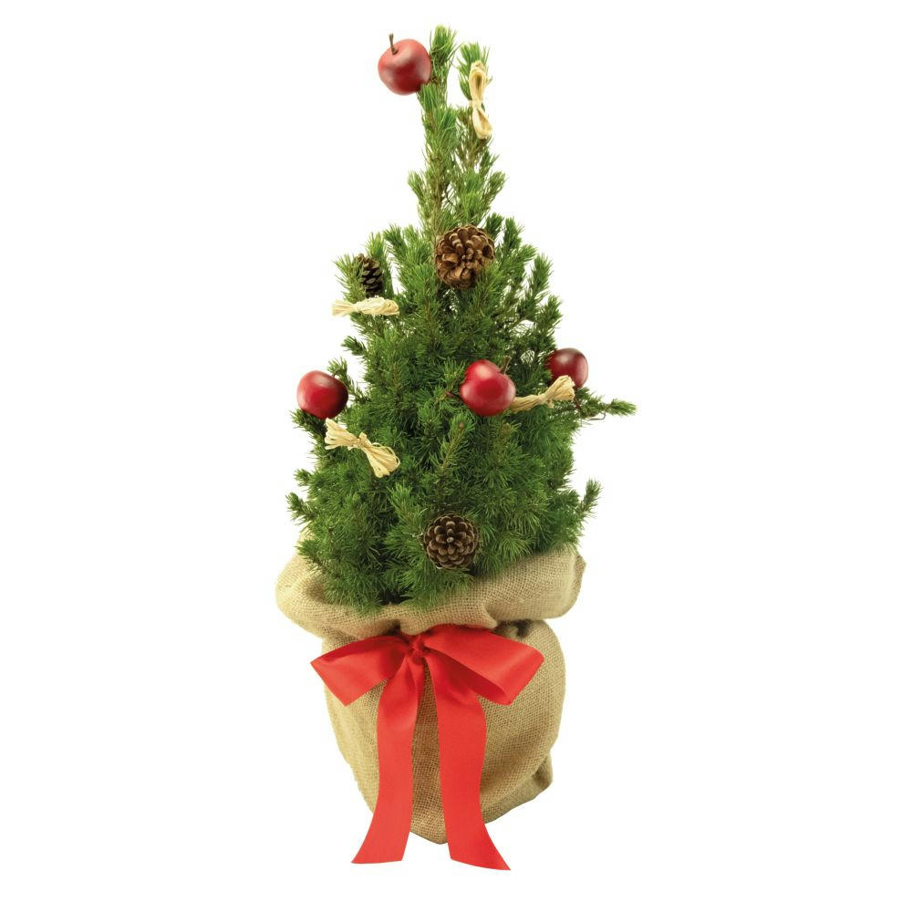 Product image Classic-Bäumchen 35-45 cm Werbeartikel