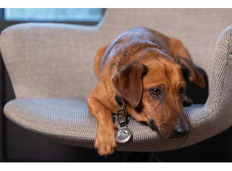 TROIKA Schlüsselanhänger AIRTAG HOLDER bedrucken