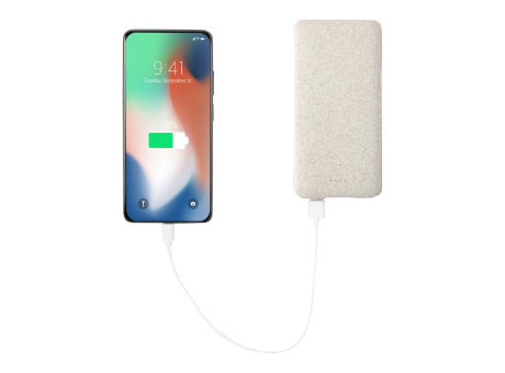 Powerbank Surum XL bedrucken