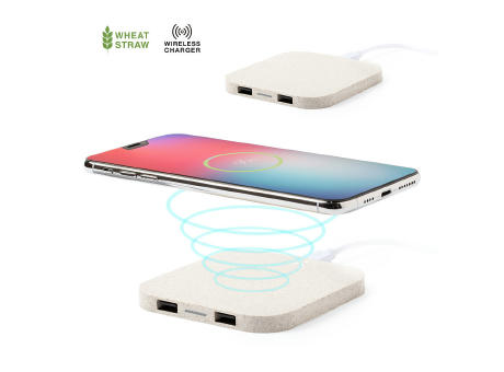 Ladegerät Riens Werbeartikel