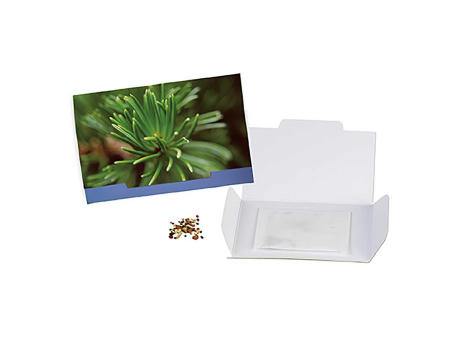 Flower-Card mit Samen - Basilikum Werbeartikel