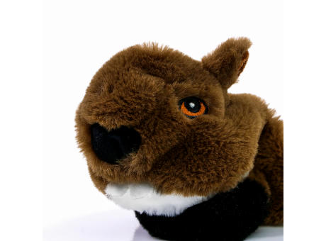 Hundespielzeug RecycelBiber Werbeartikel