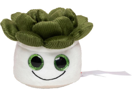 Product image Schmoozies® Evergreenies® Sukkulente Werbeartikel