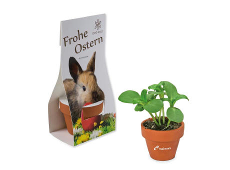 Product image Logo-Töpfchen Überreichverpackung mit Samen - Ostern - Eierbaumsamen Werbeartikel