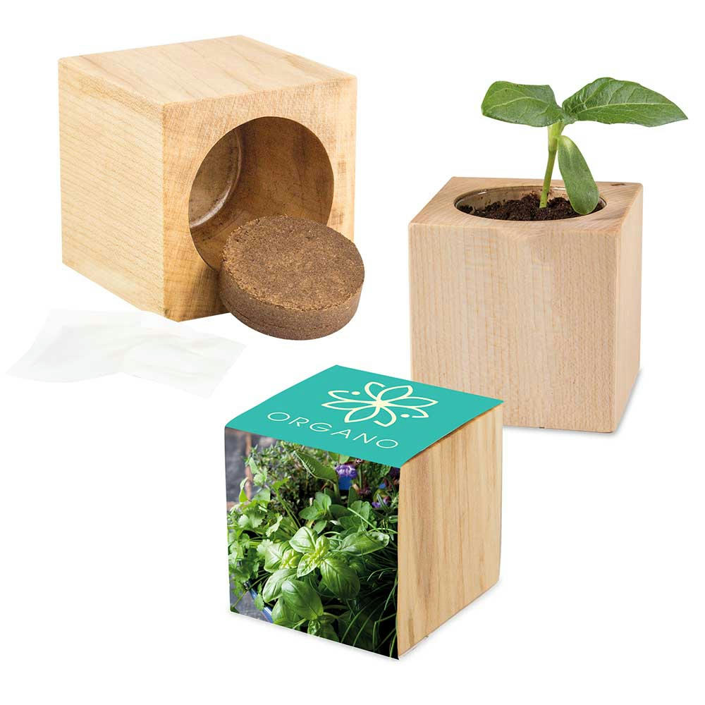 Pflanz-Holz Maxi mit Samen - Basilikum Werbeartikel