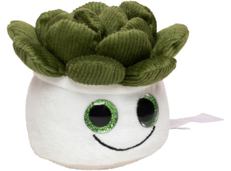 Schmoozies® Evergreenies® Sukkulente Werbeartikel